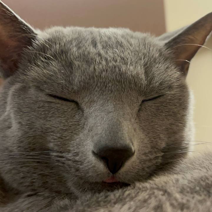 13497dbf a135 4faa bc1c 6d011a726f2b 1739017656604