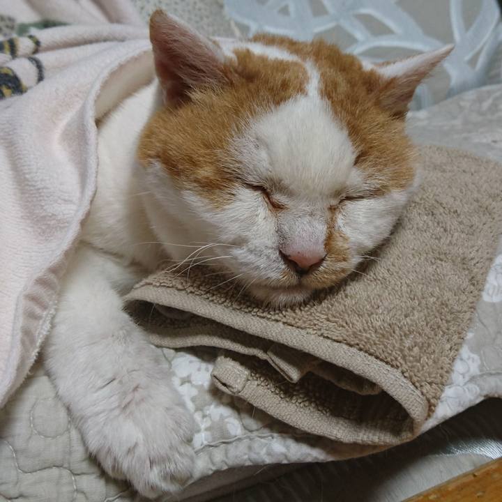 13497f22 b73a 4609 a3c2 c060f0306476 1566213867939