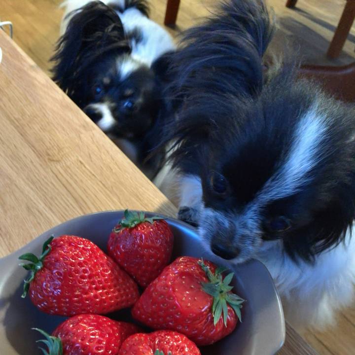 13498f3d 2d9b 4e6b 9d19 5230f63bb423 1518651587272