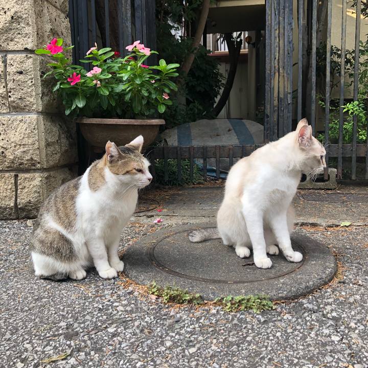 1349f99f 891f 4898 843a bb7d9ad39ac7 1567174951634