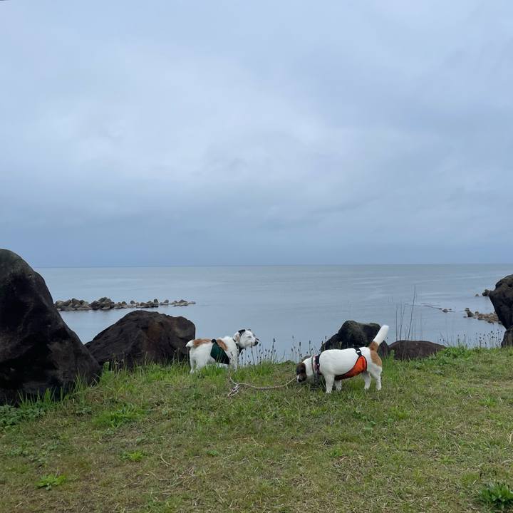 1349ff34 04d0 4792 a12e debede07905c 1714002961546