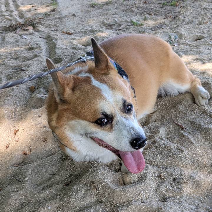 134a02b6 4dcf 462a 9800 240147171f11 1755818087737