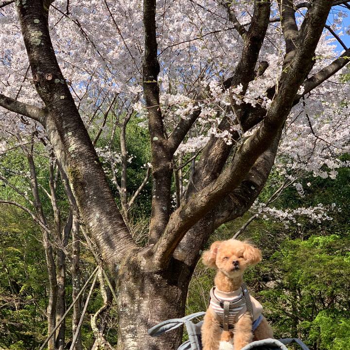 134a2b60 2ba5 48b4 80e1 28ea637b9f8d 1774825222560