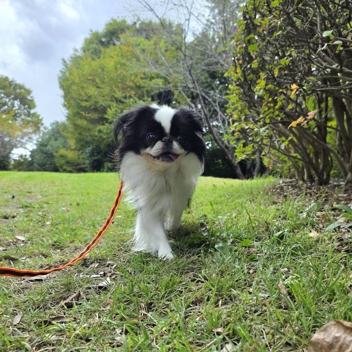 134a3890 5fd6 444b 905c 8d619f1422b9 1760856704907