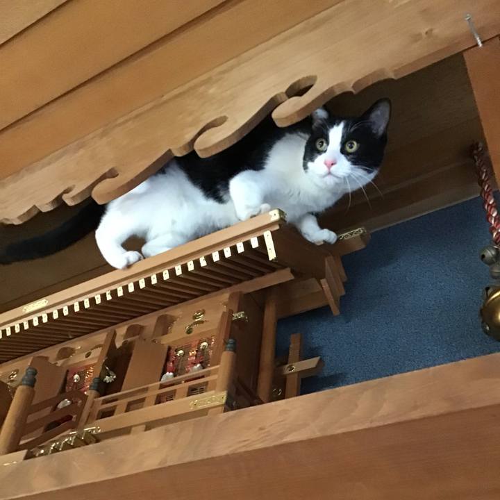 134a6d3d 2194 44c6 af43 e391f12adb95 1646641904326