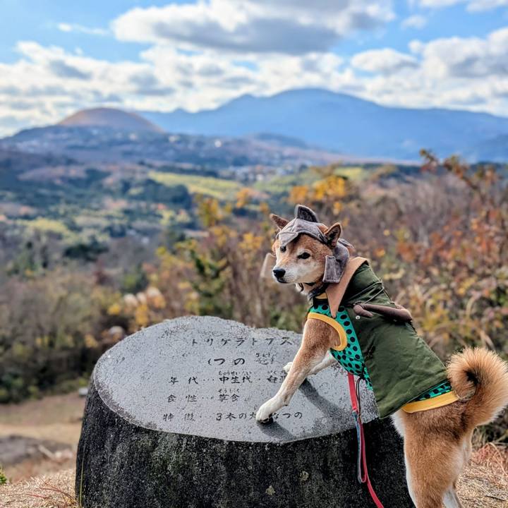 134a738b a667 4e45 816a a6061eb14119 1766120069587