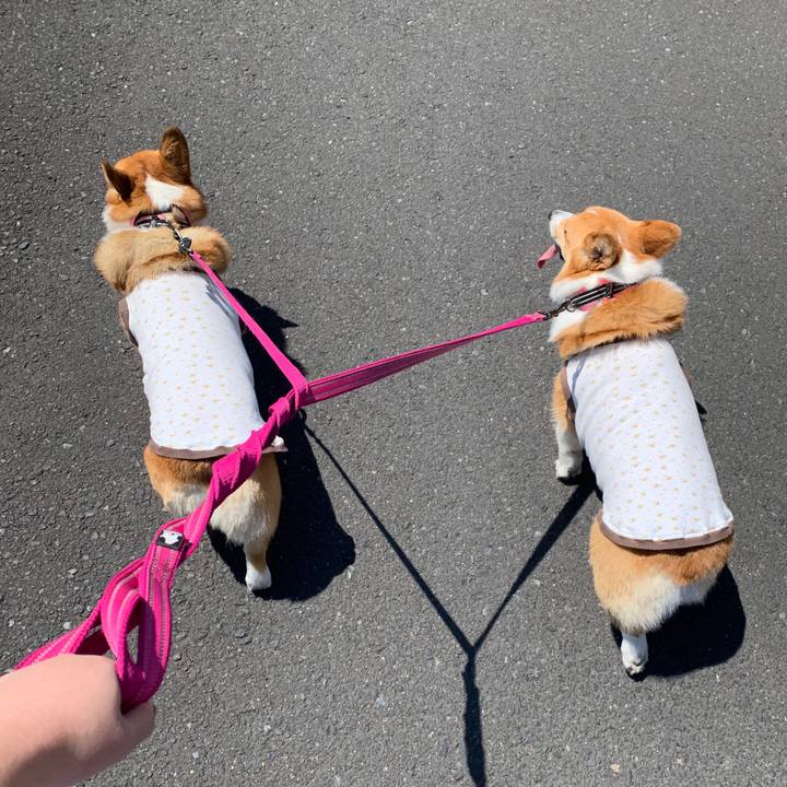 134a8ea9 0569 4f47 bb08 3b2dd71309e0 1557279810442