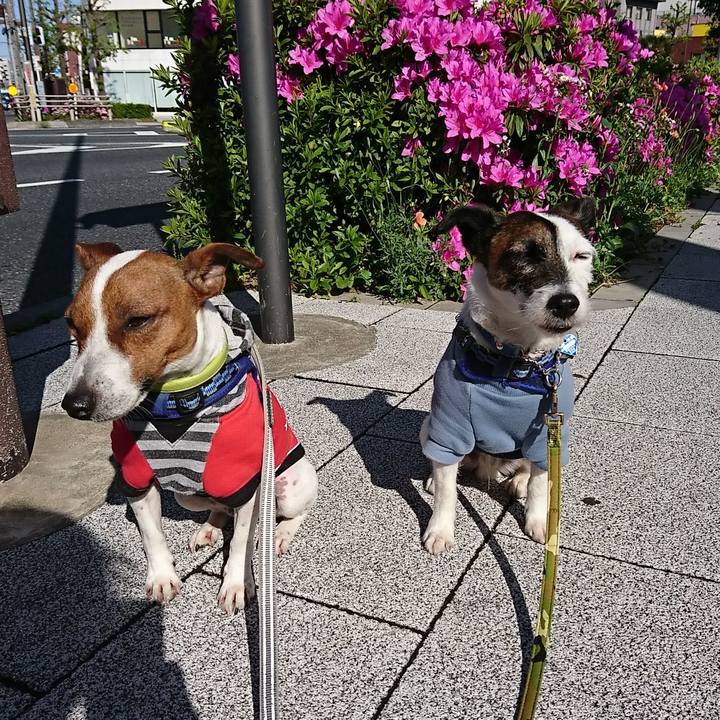 134abe4b 79e8 44c0 8123 7b81acdf1a2d 1556405519132