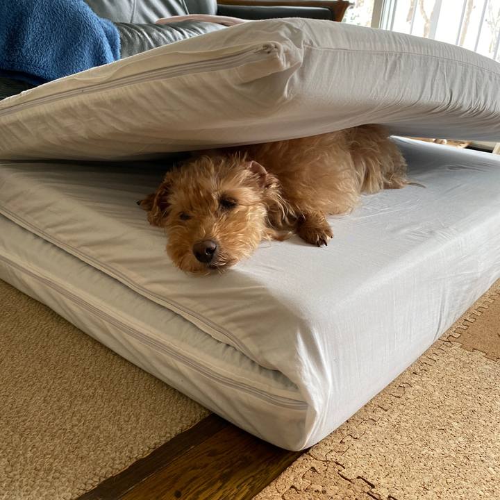 134b0cf1 52f9 4e56 baaa 1d105d32b986 1700960979832