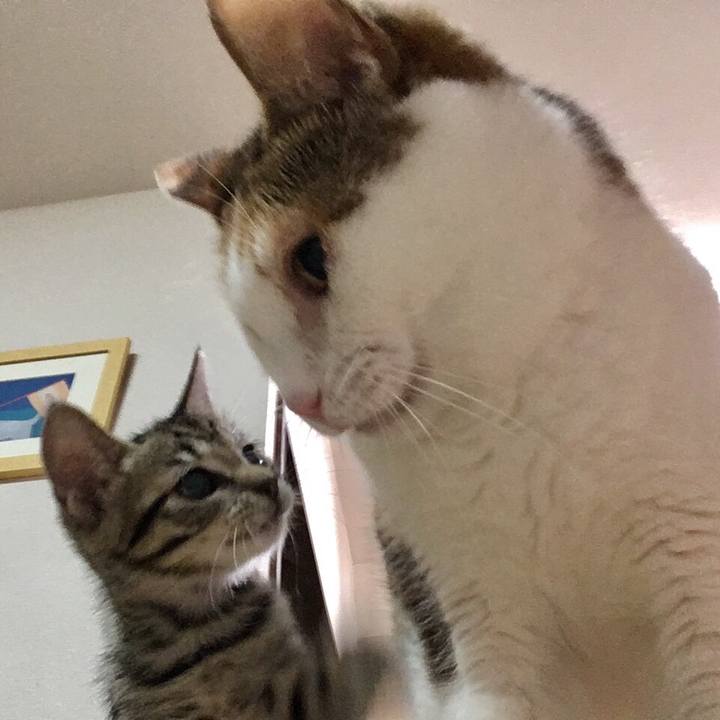 134b0fc7 bced 4f46 b7cd 52db880aae8b 1568454194202