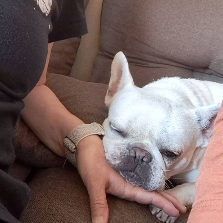 134b1144 19f9 4b8d 9e5e 071ada76dd45 1721805574231