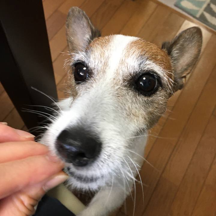 134b343c d10e 4ed5 977d 4e35db567739 1630020701866