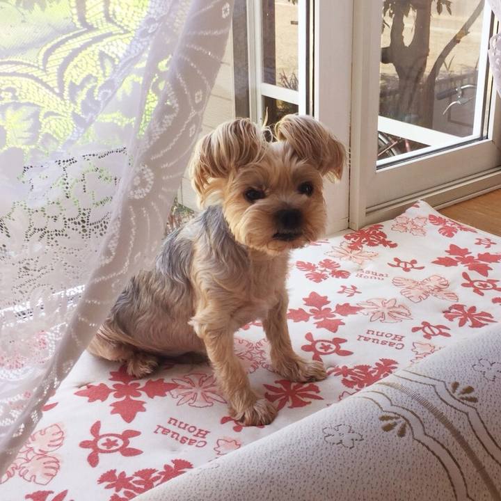 134b5743 d5b2 4f42 806c 1f84eb106e4d 1533268912270