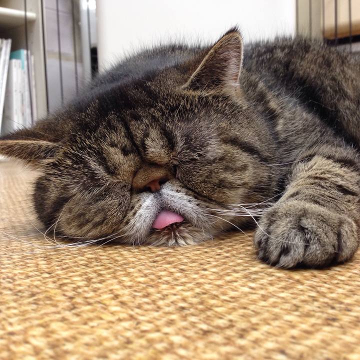 134b8df7 d1ff 40f8 b6ca 424e9c6e6187 1507939969523