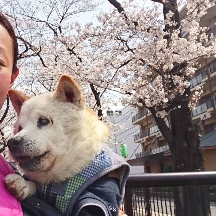 134b8e73 f37b 492e abd1 4b6f0f4510b1 1553947752351