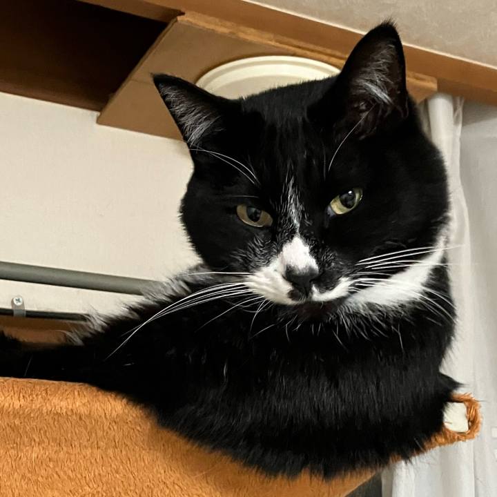 134b953d bb92 41a6 9708 01c989bb801c 1712201856922