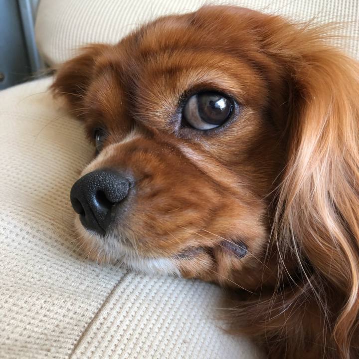 134bbeb1 4a11 4f95 a2ef 6f5a421839f1 1575238448485