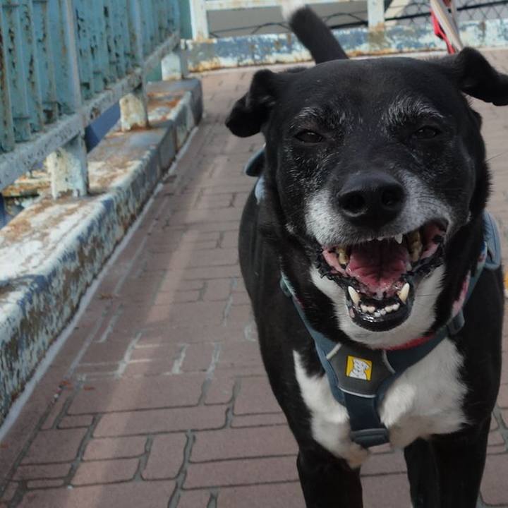 134be2c4 a5ba 40ab 83bf 84541ad2ed96 1748219561550