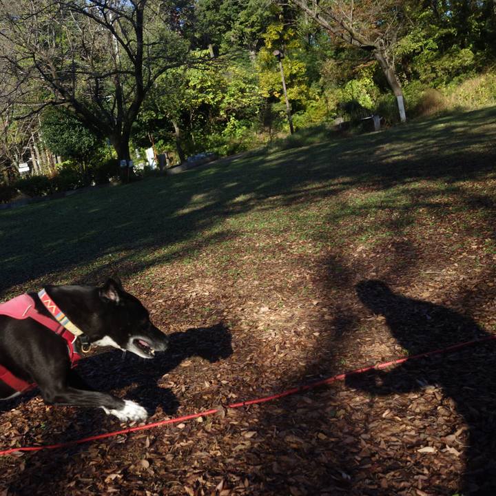 134be818 d030 4ac8 a5dd c55c3e4747b7 1700443265907