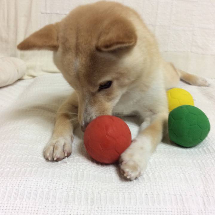 134c270a 1ecf 48ae a52f e58e2d770e81 1508844703511