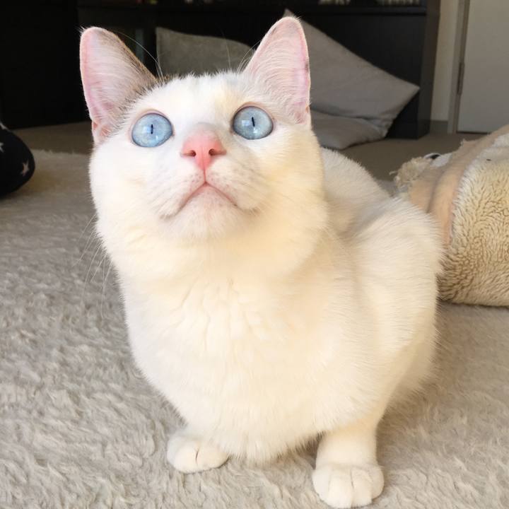 134c7f8a 686b 49c7 8eb7 95c4f02ce7d5 1526730260062