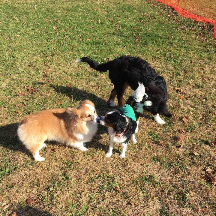 134cbdb4 a86a 44df ac3f 44fca3e96698 1509700015671