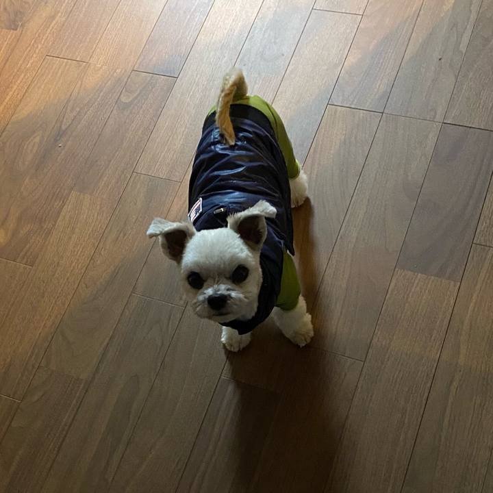 134cda7c b88f 468a b19a de59ca0b9a88 1611798018708