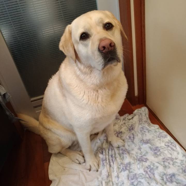 134cfa42 2f3e 420c 819e 4dcc12edad99 1585394188173