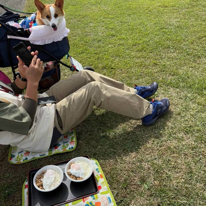 134d0ee9 55cb 4363 8787 24e02729f02c 1760272214170