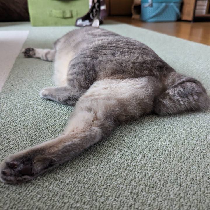 134d0fb5 0c90 4404 ad3b ef2b9b327e5b 1703479712440