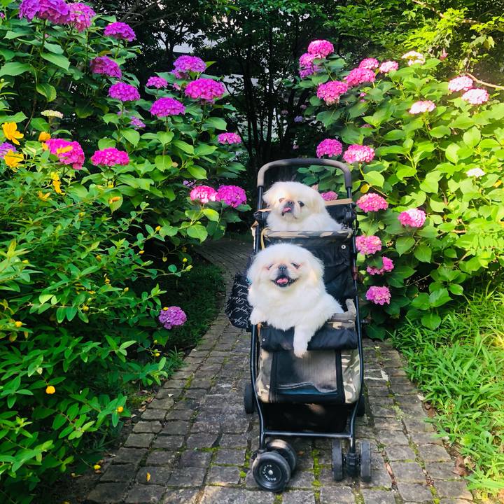 134d4dd6 eec2 44dd a4bf 1f39417d0c54 1622677940317