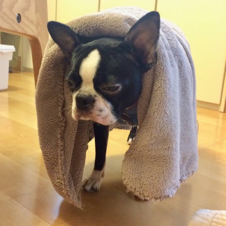 134d55f8 0823 44e4 9669 ddde6ff089a9 1508839371899