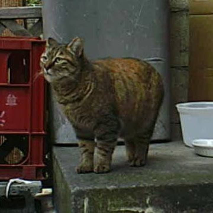 134d7285 1178 447b 87b4 1eeadd8d9989 1583329361944