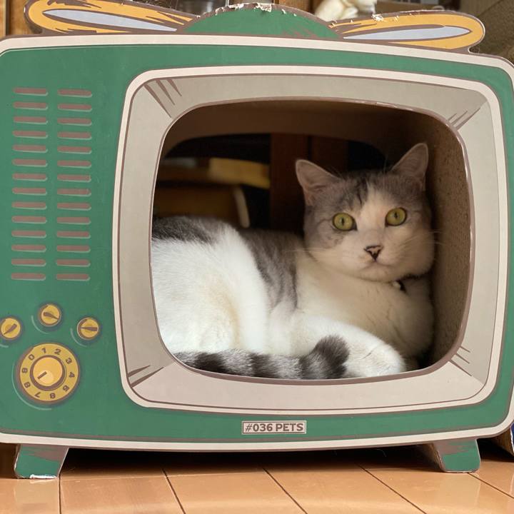 134d7ade 5fce 4d0f bfce 19a737d6c06f 1627786025136