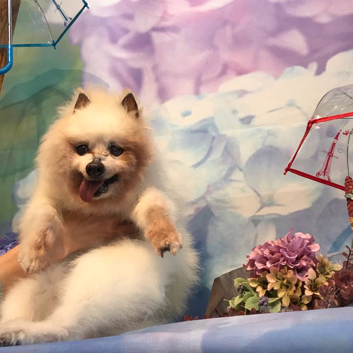 134d8139 7789 4b69 b3bf d8fea08bc876 1530293659107