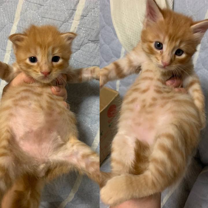 134dfe9b c931 4957 b722 cc5e421c3348 1570808582313