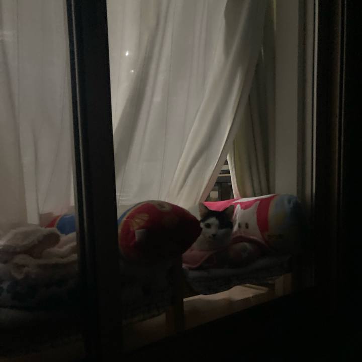 134e6af6 ccac 4877 90e6 3089d1fb3014 1762939428557