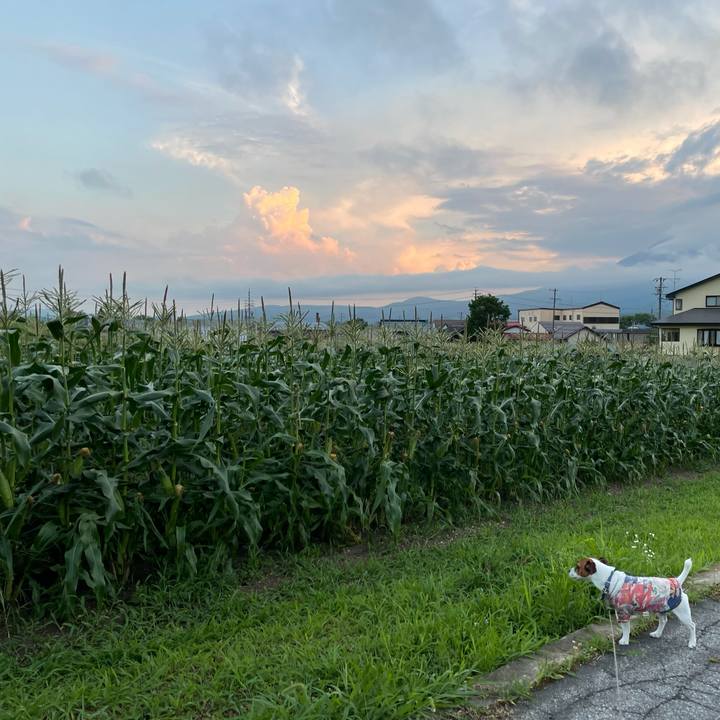 134e833c 0bd4 4a4c a14a ff67ac1eb176 1628082456999