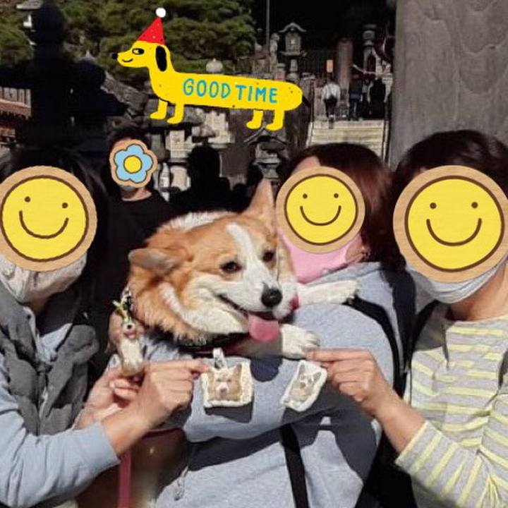 134e90d9 8412 4679 a403 9e7a4d5d7fd4 1606212169651