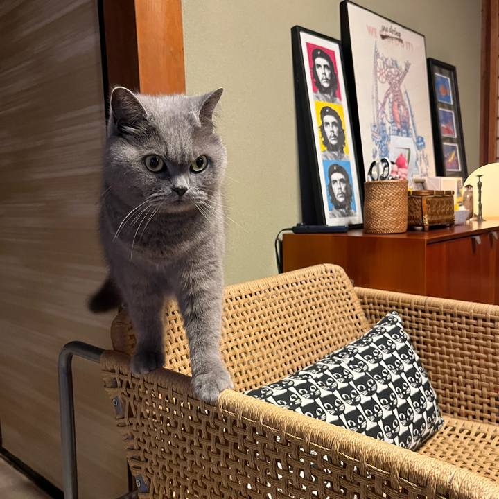 134eaeb4 3edf 4f49 9772 7373d18b0824 1647604083241