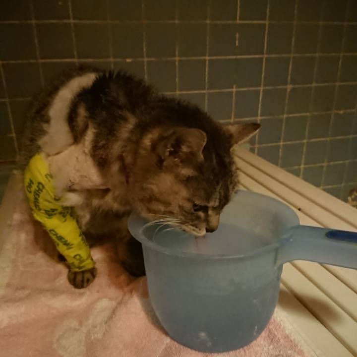 134eb74c d0dc 4915 a8c7 c92ab685b3e3 1586513013654