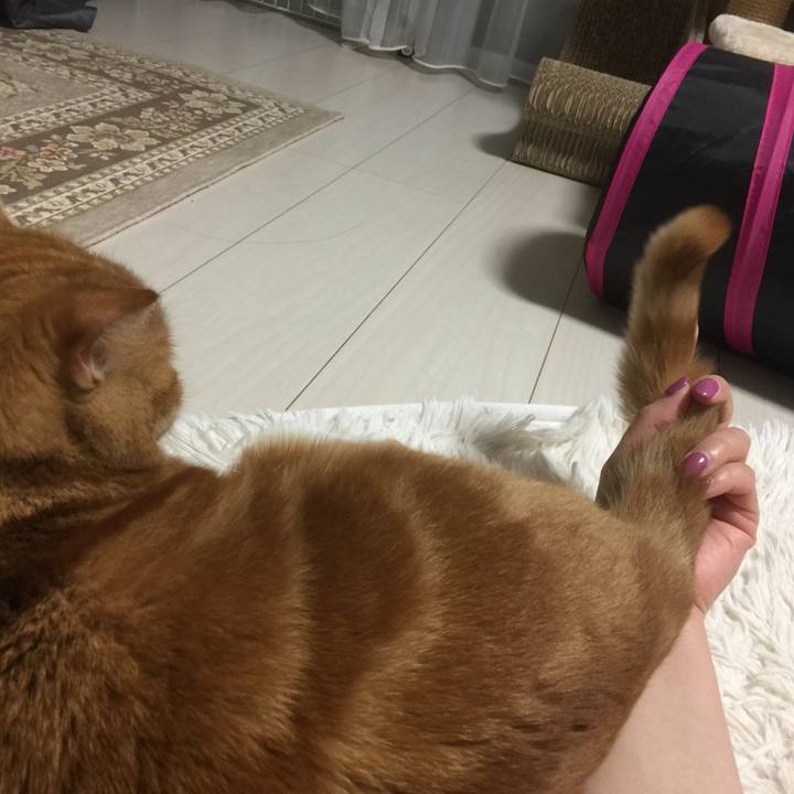 134ebe79 e926 4b37 acd2 f39eae19fecc 1583235907797