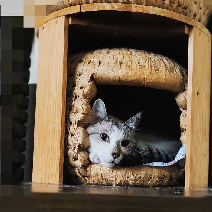 134ef837 fbc7 47ee 90f2 7d4b2cdf6dd5 1627463296849