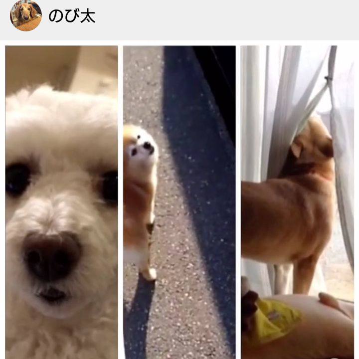 134f0d5e 7421 41b1 9d36 f07f14af093b 1516314130367