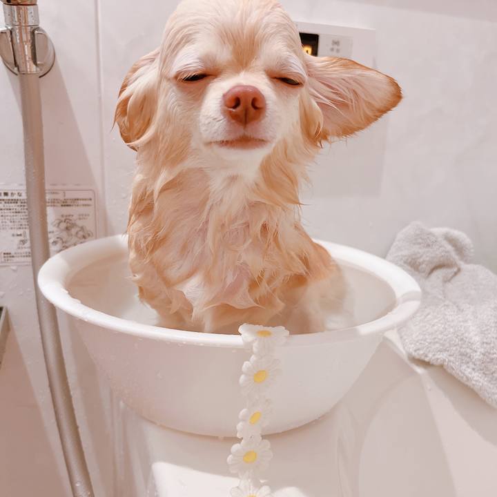 134f0ee6 6857 4c97 83b9 29661b98f7bf 1659442019306