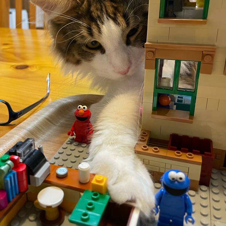 134f5612 e363 4030 9ab2 581548c55178 1641802021295