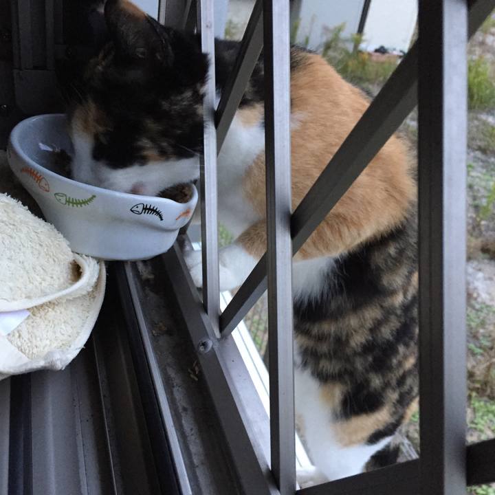 134f75df 0548 4070 ad58 7f8f50291b18 1510049607756