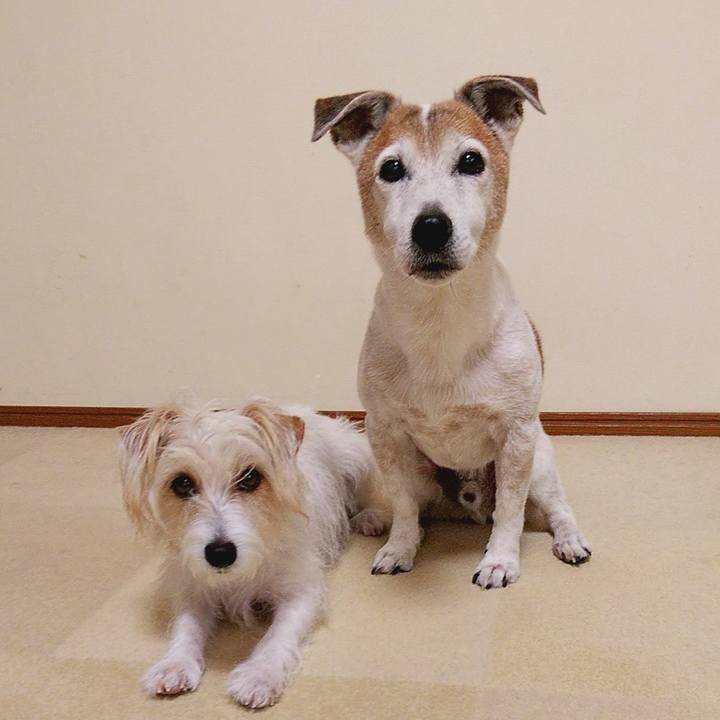 134f95c6 2f96 4f3f 8441 aca244b976e0 1586666873585