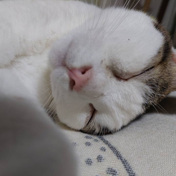 134fa2fe 27b8 4005 b0e6 d268574a9ddc 1664023382548