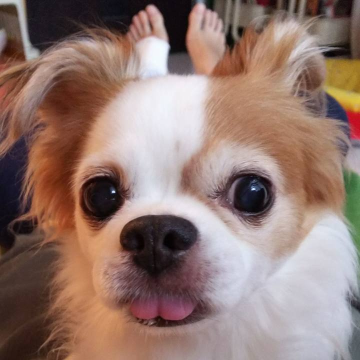 134fad51 7720 45b9 842e c7b3519789d9 1535186135989